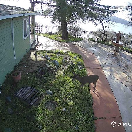 A Lake, A Mountain And The House With The Red Door Clearlake Exterior foto