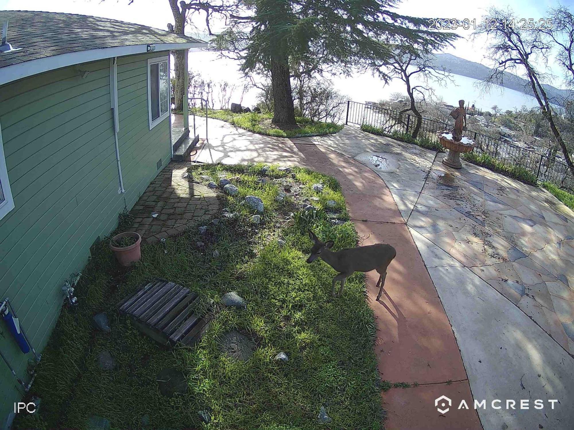 A Lake, A Mountain And The House With The Red Door Clearlake Exterior foto